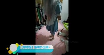 憨憨又外出咯，蓝色女仆捆绑口球 尾巴+贞操锁外出溜达~惊险又刺激~