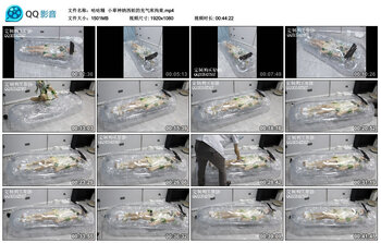 【咕咕精】小草神纳西妲的充气床拘束